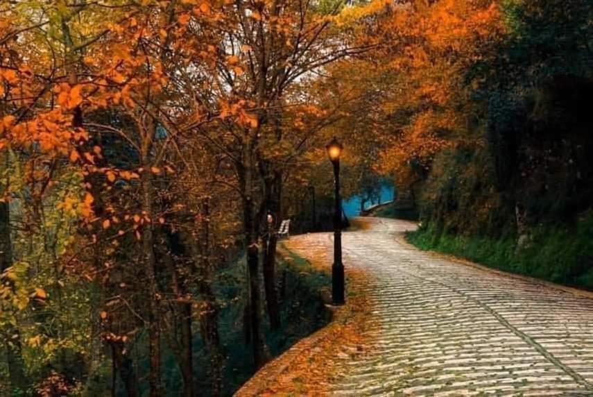 Silver Hill